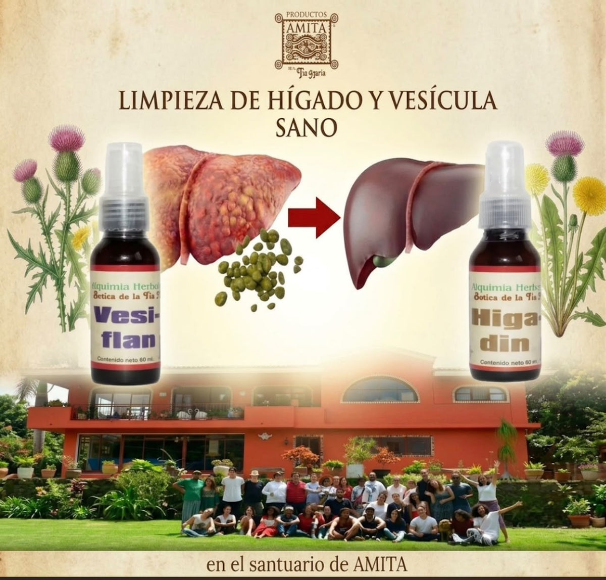 Limpieza de Vesícula e Hígado — Recinto EL SANTUARIO  AMITA