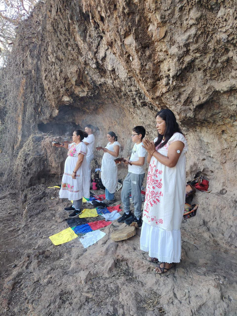 Retiro Nivel Uno Intensivo — Formación de Curanderos con Abuela Tere Rivas Chicahuaxochitl